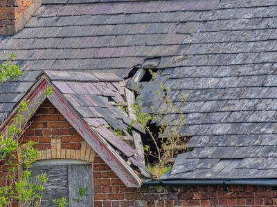 Professional commercial water damage restoration services in Fair Haven - water damage restoration service